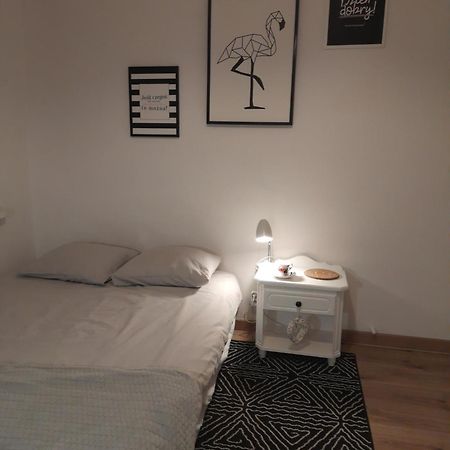 Mieszkanie 4-Pokojowe W Toruniu Przy Umk Exteriér fotografie