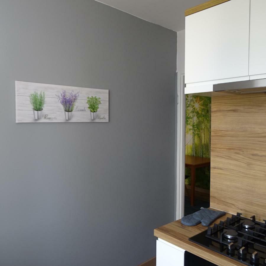 Mieszkanie 4-Pokojowe W Toruniu Przy Umk Exteriér fotografie