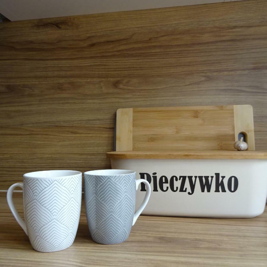 Mieszkanie 4-Pokojowe W Toruniu Przy Umk Exteriér fotografie